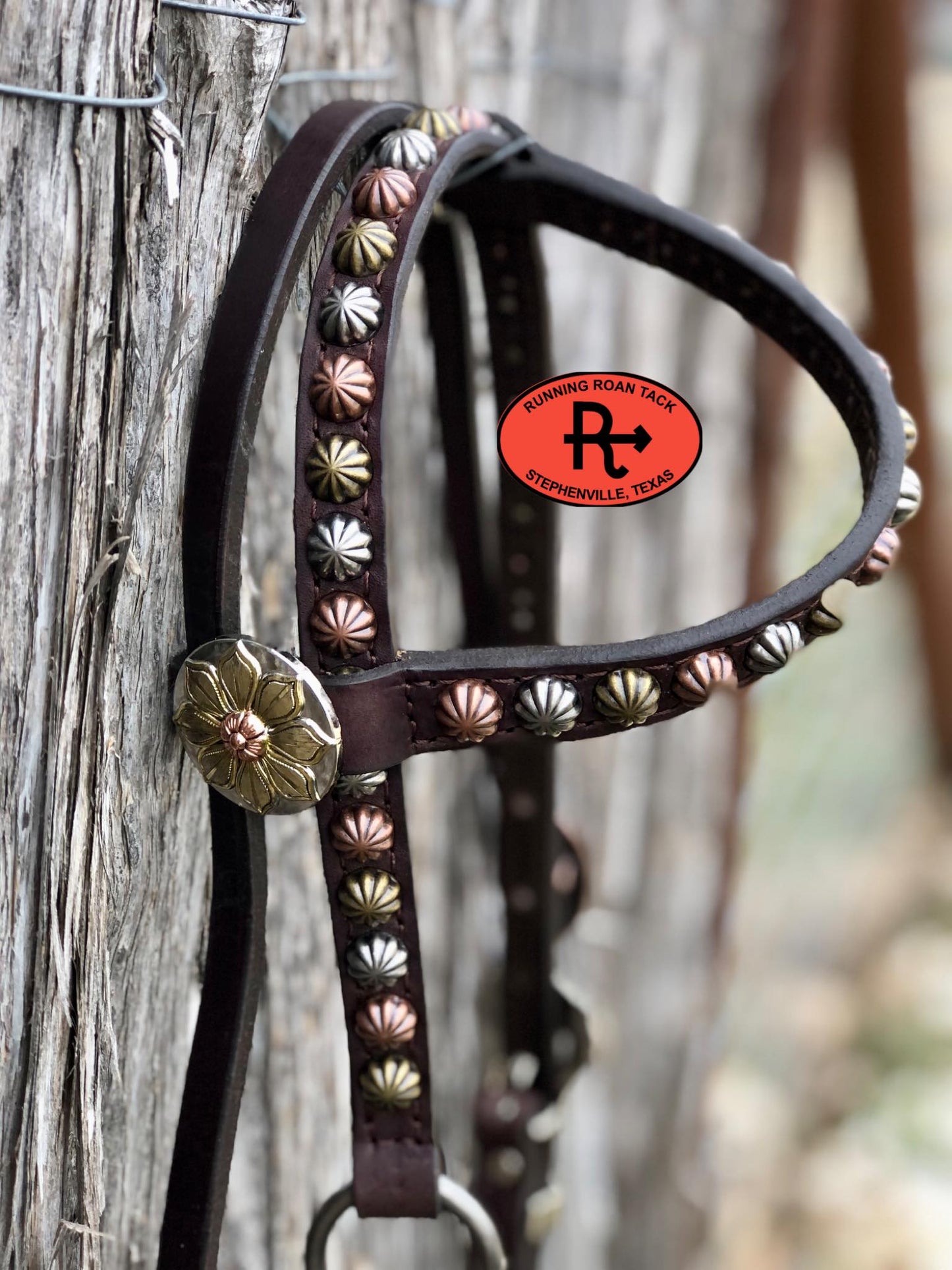 Single Ear with Throatlatch Ring Headstall with and Tricolor Flower Hardware 38"-42"