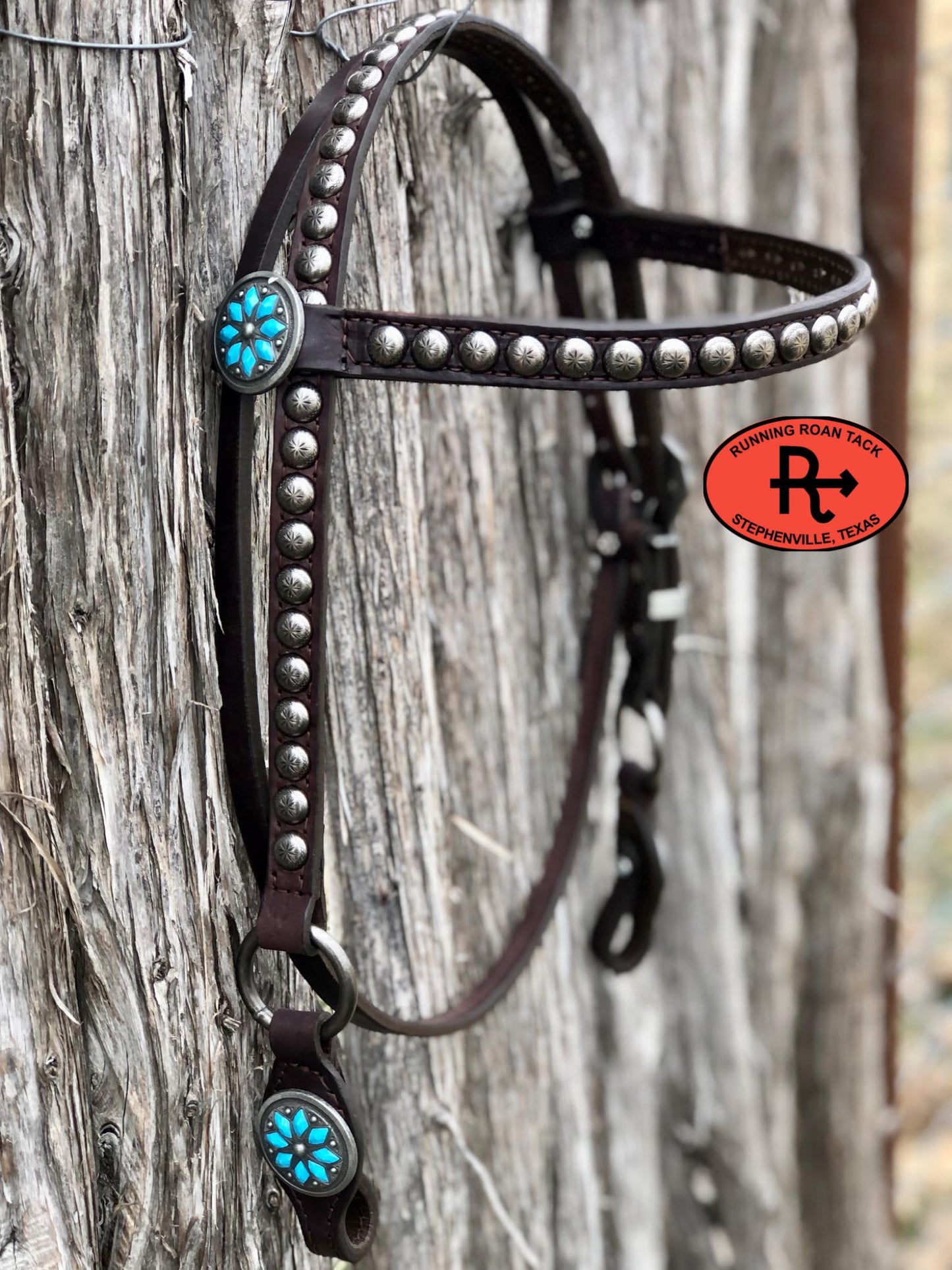 Browband Short Gag Ring Headstall with Antique Silver Cactus Flower Hardware 33"-37"