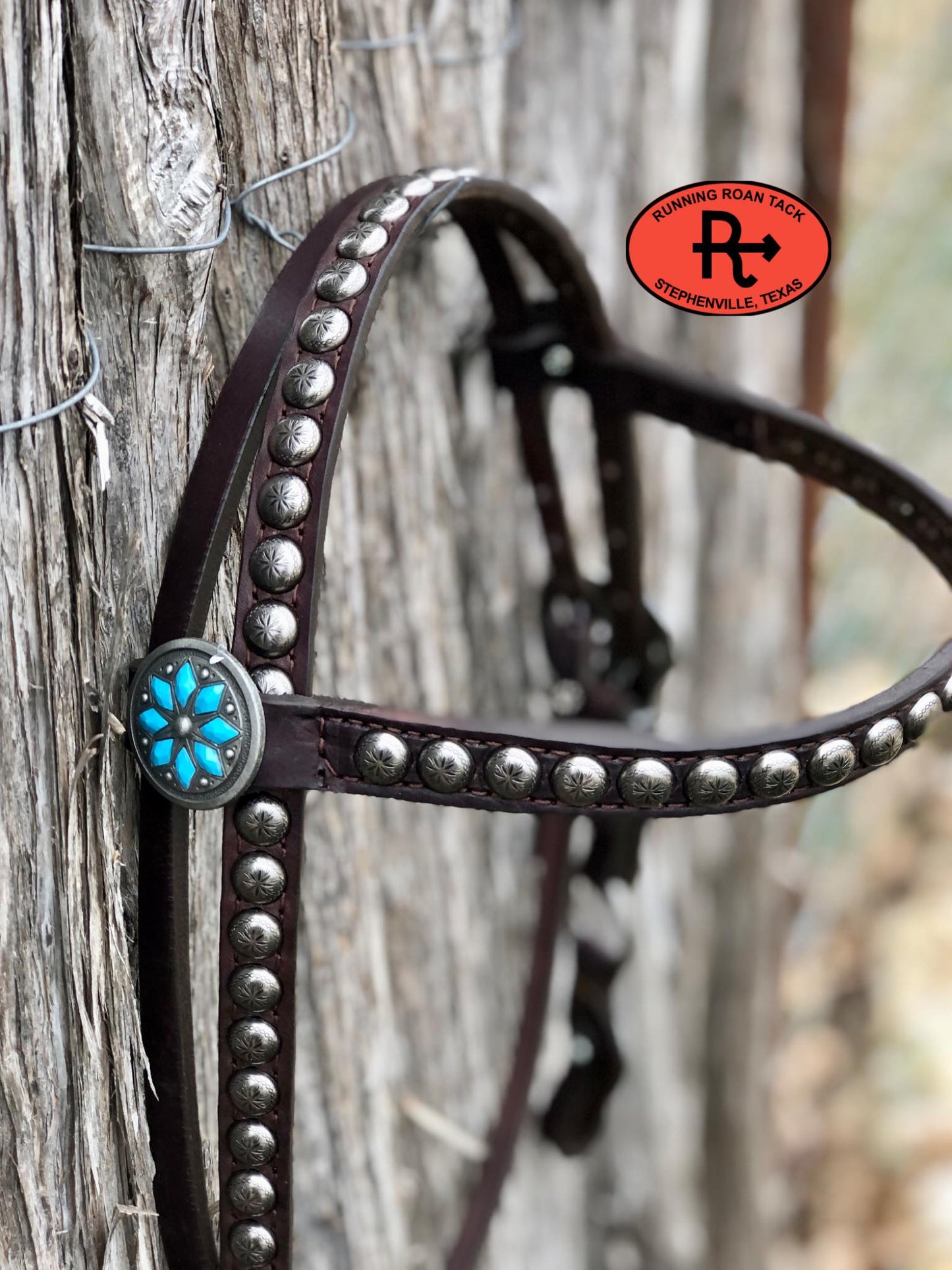 Browband Short Gag Ring Headstall with Antique Silver Cactus Flower Hardware 33"-37"