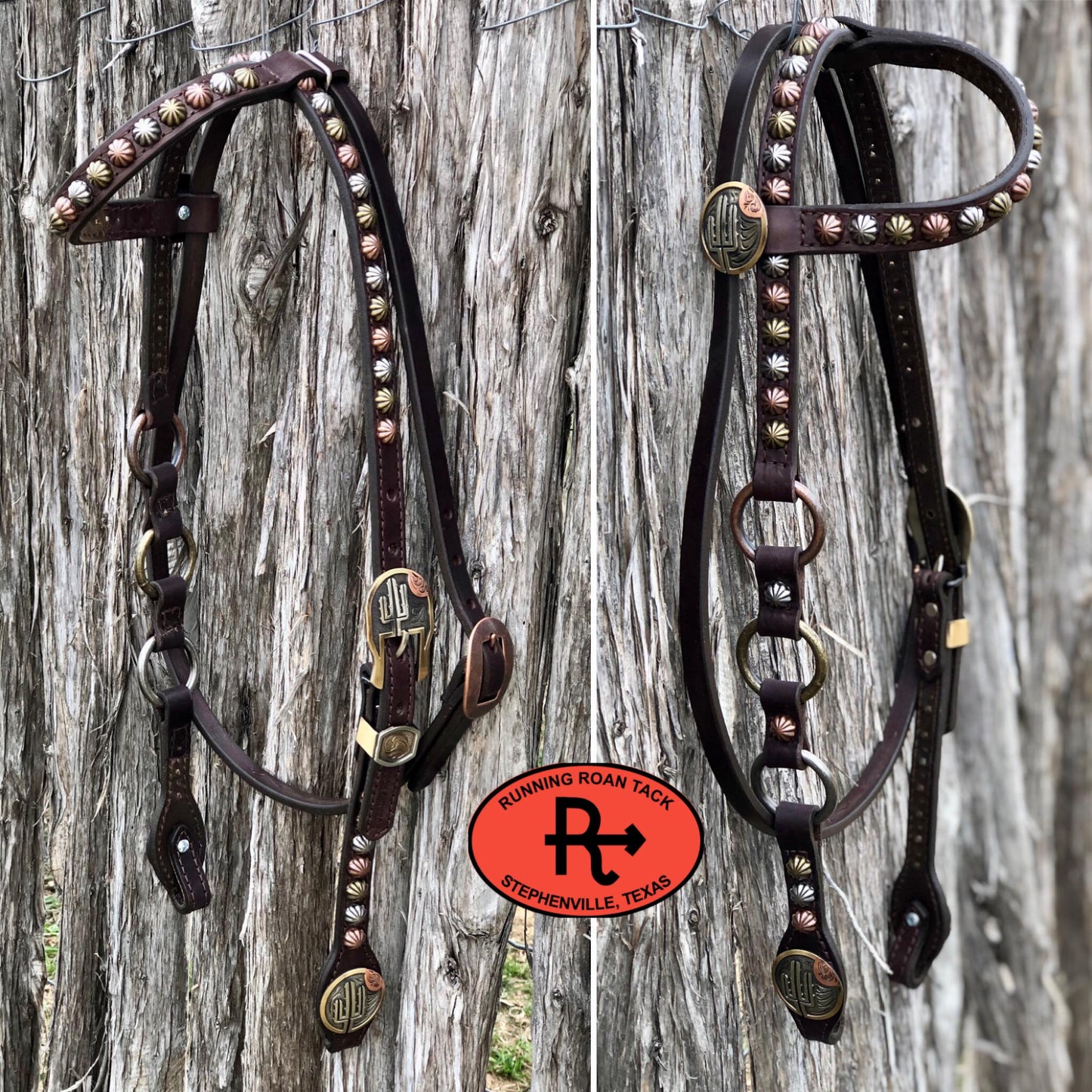 Single Ear with Throatlatch Ring Headstall with German Silver Tricolor Cactus Hardware 38"-42"