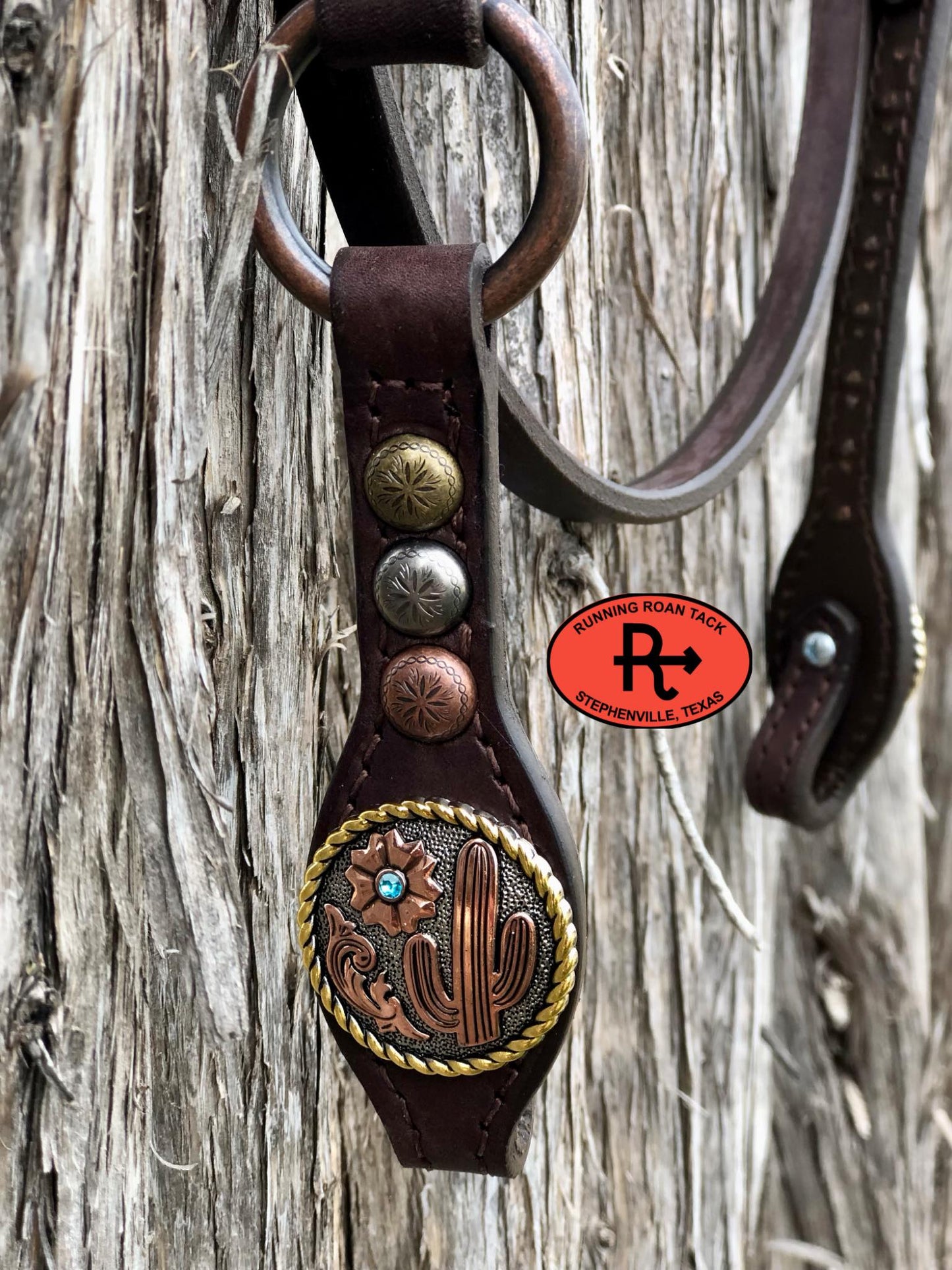 Browband Ring Headstall with Multicolor Dots and Tricolor Desert Hardware 36"-40"