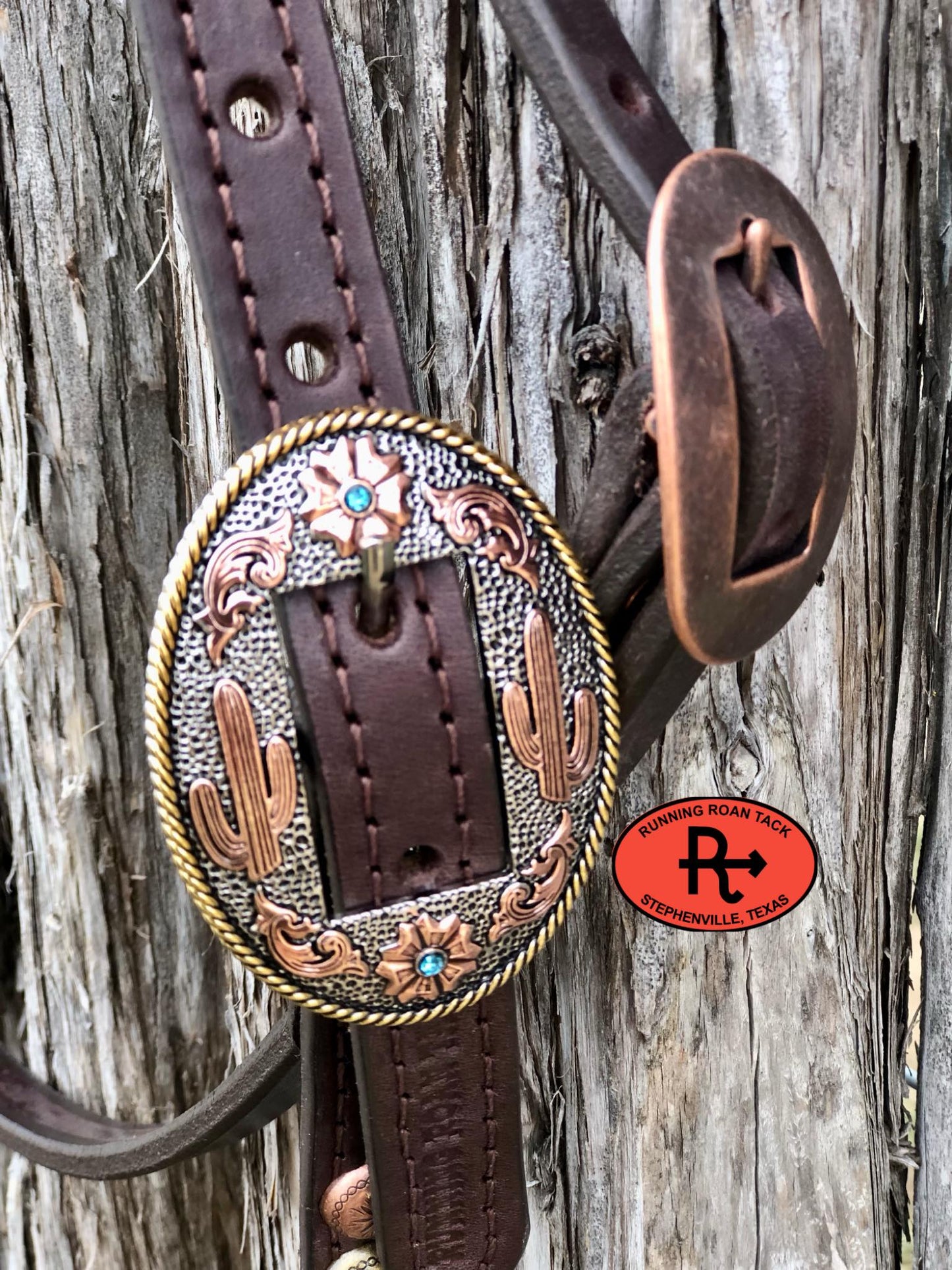 Browband Ring Headstall with Multicolor Dots and Tricolor Desert Hardware 36"-40"