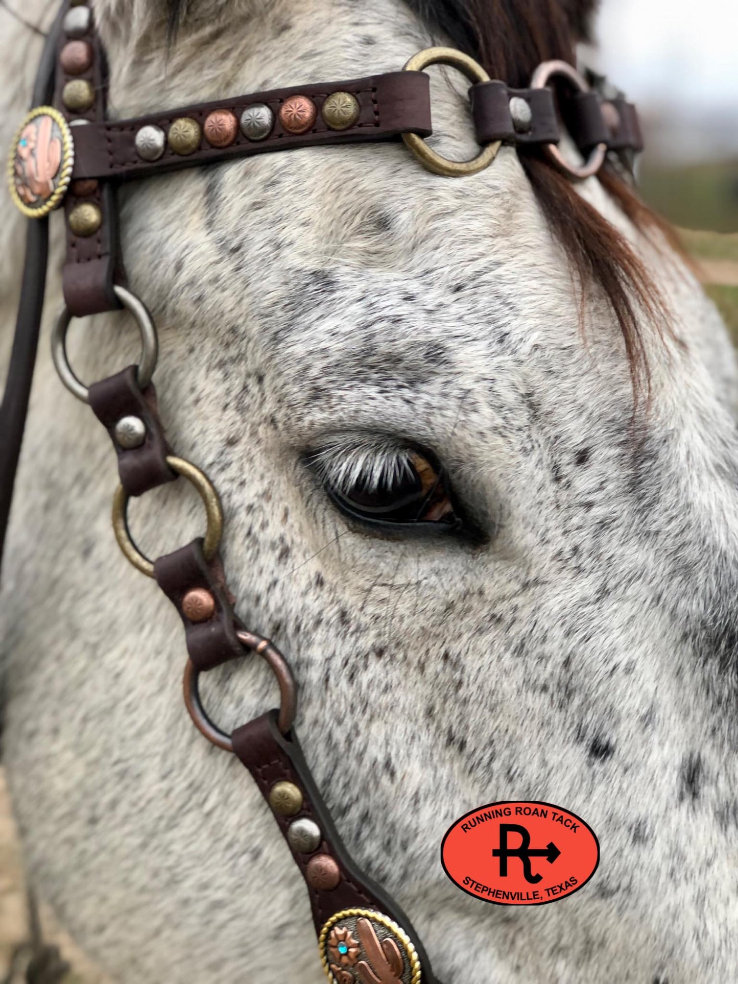 Browband Ring Headstall with Multicolor Dots and Tricolor Desert Hardware 36"-40"