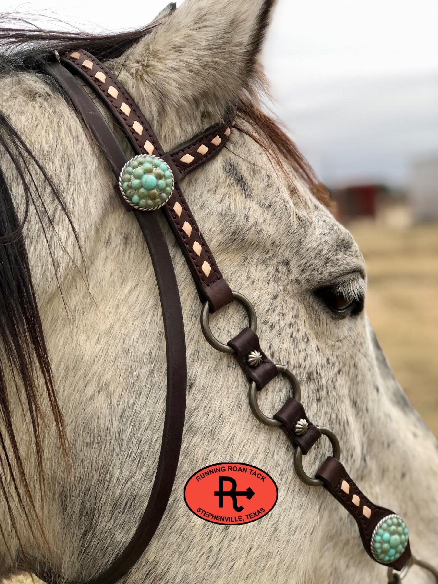 Single Ear with Throatlatch Ring Headstall with White Buckstitch and Turquoise Stone Hardware 38"-42"