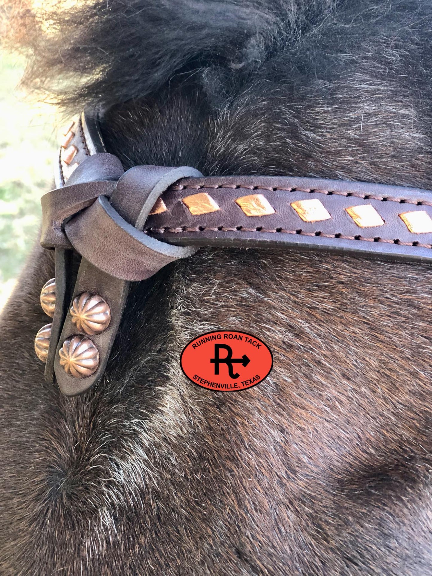 Futurity Knot Browband Headstall with Metallic Copper Buckstitch and German Silver Feather Hardware 36"-43"