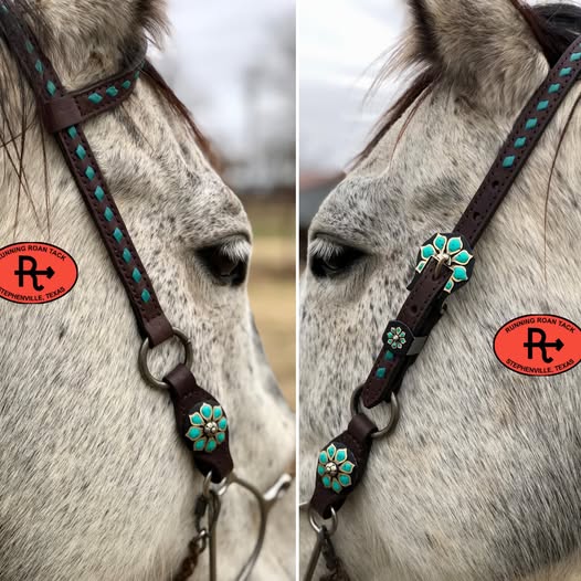 Single Ear Short Gag Ring Headstall with Turquoise Buckstitch and German Silver Hardware 32"-36"