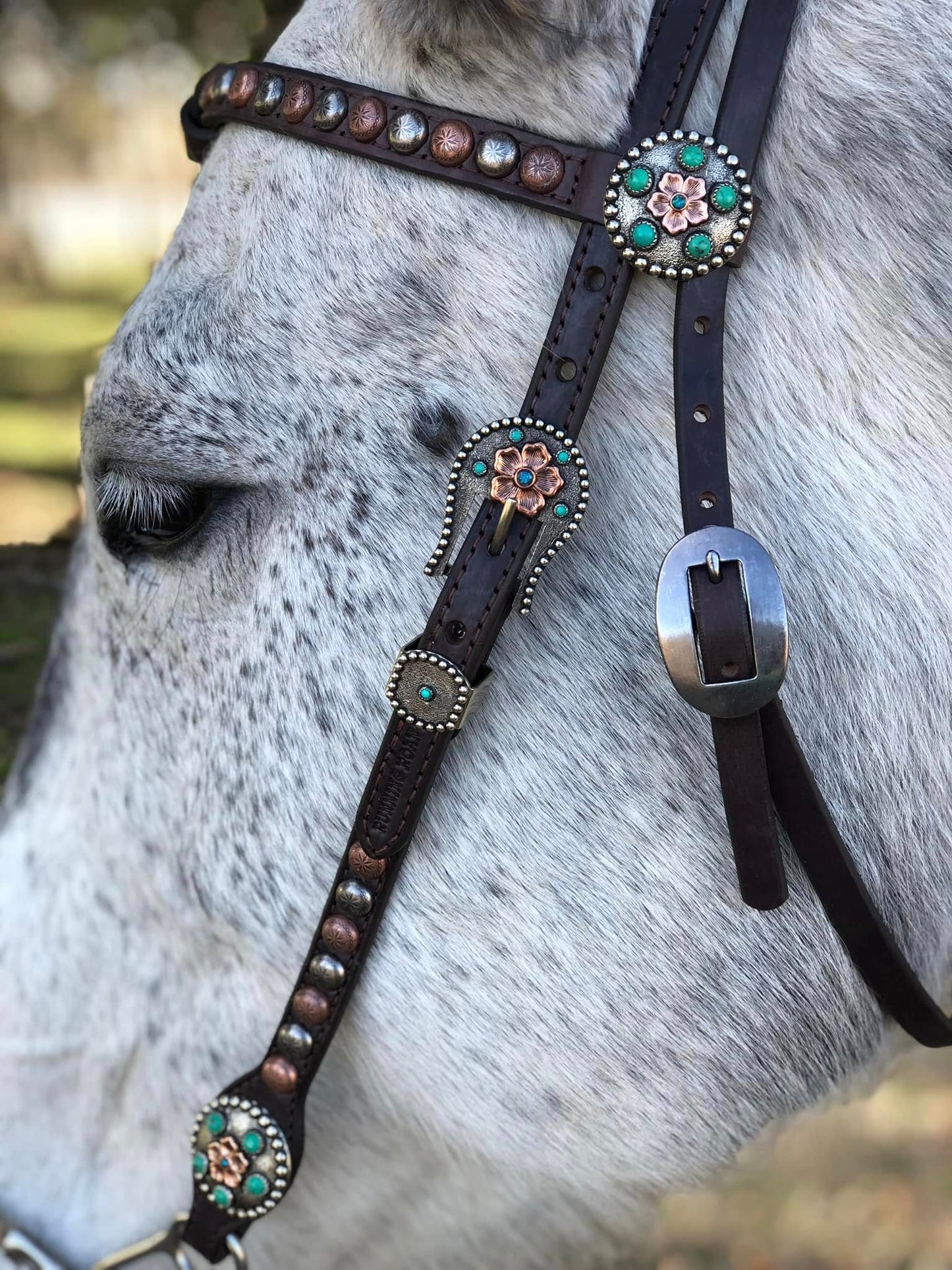 Futurity Knot Browband Headstall with Multicolor Dots and German Silver Flower Hardware 36"-43"