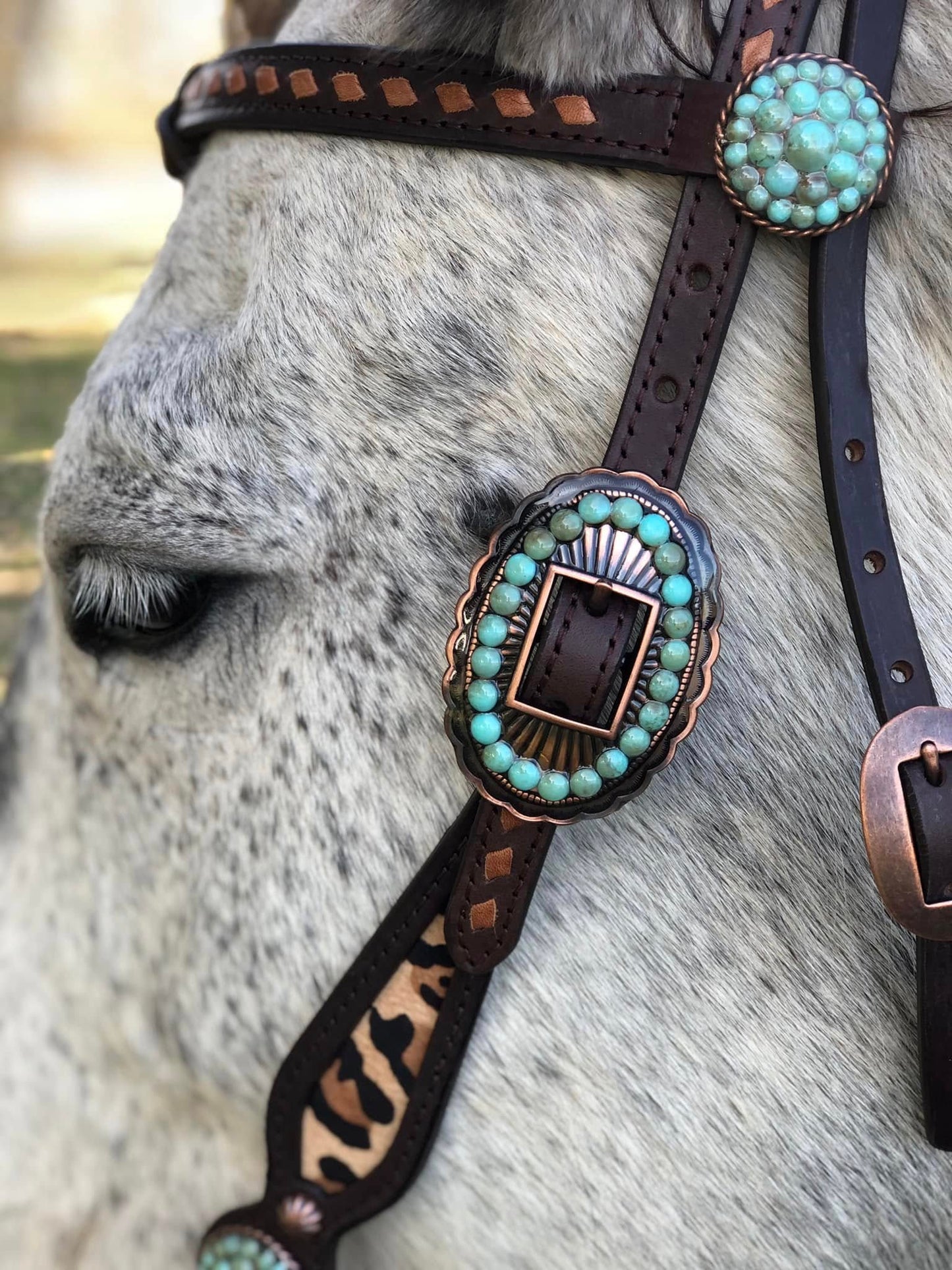 Futurity Knot Browband Headstall with Hair On Leopard, Tan Buckstitch and Faux Turquoise Hardware 36"-43"