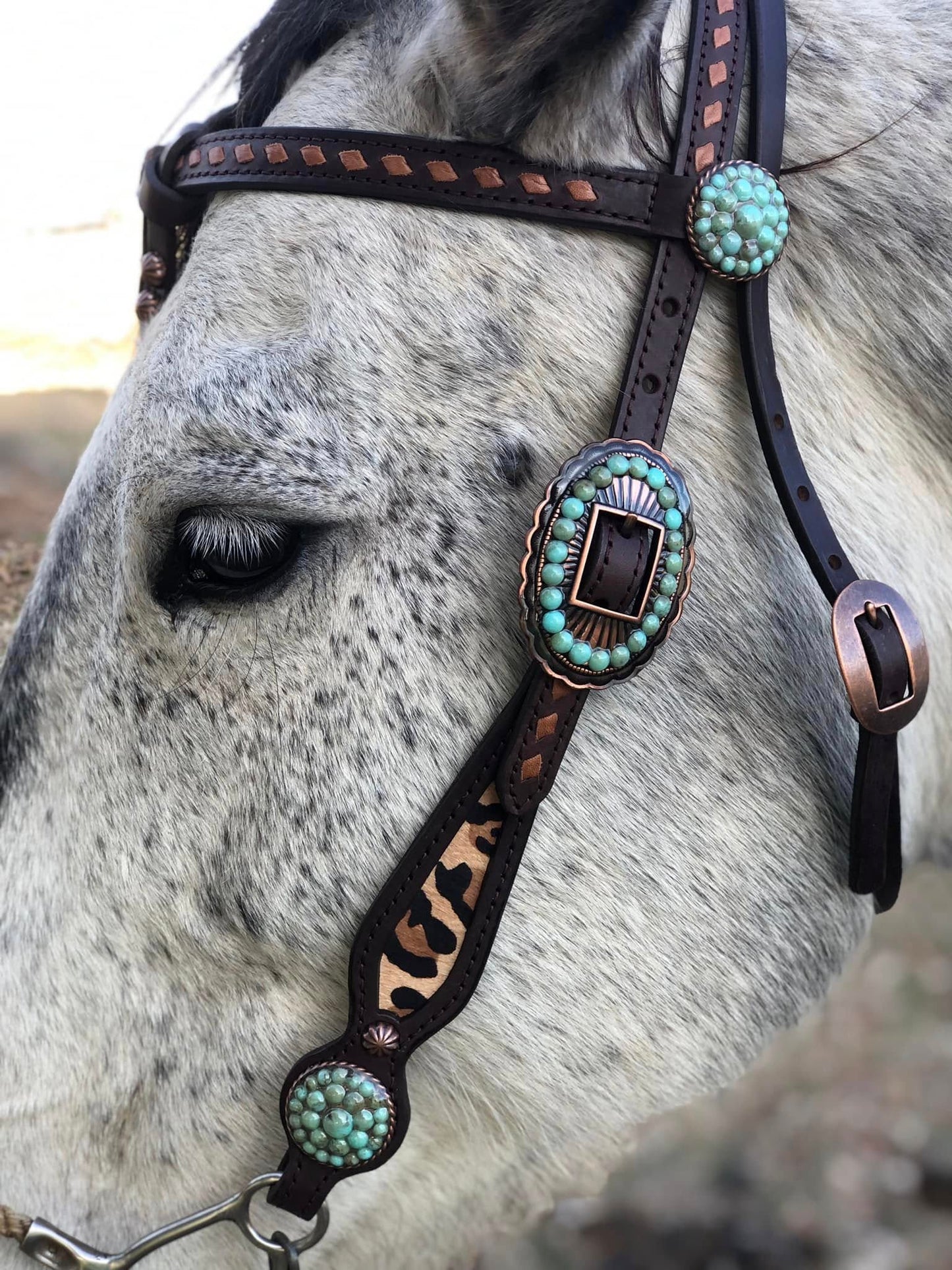 Futurity Knot Browband Headstall with Hair On Leopard, Tan Buckstitch and Faux Turquoise Hardware 36"-43"