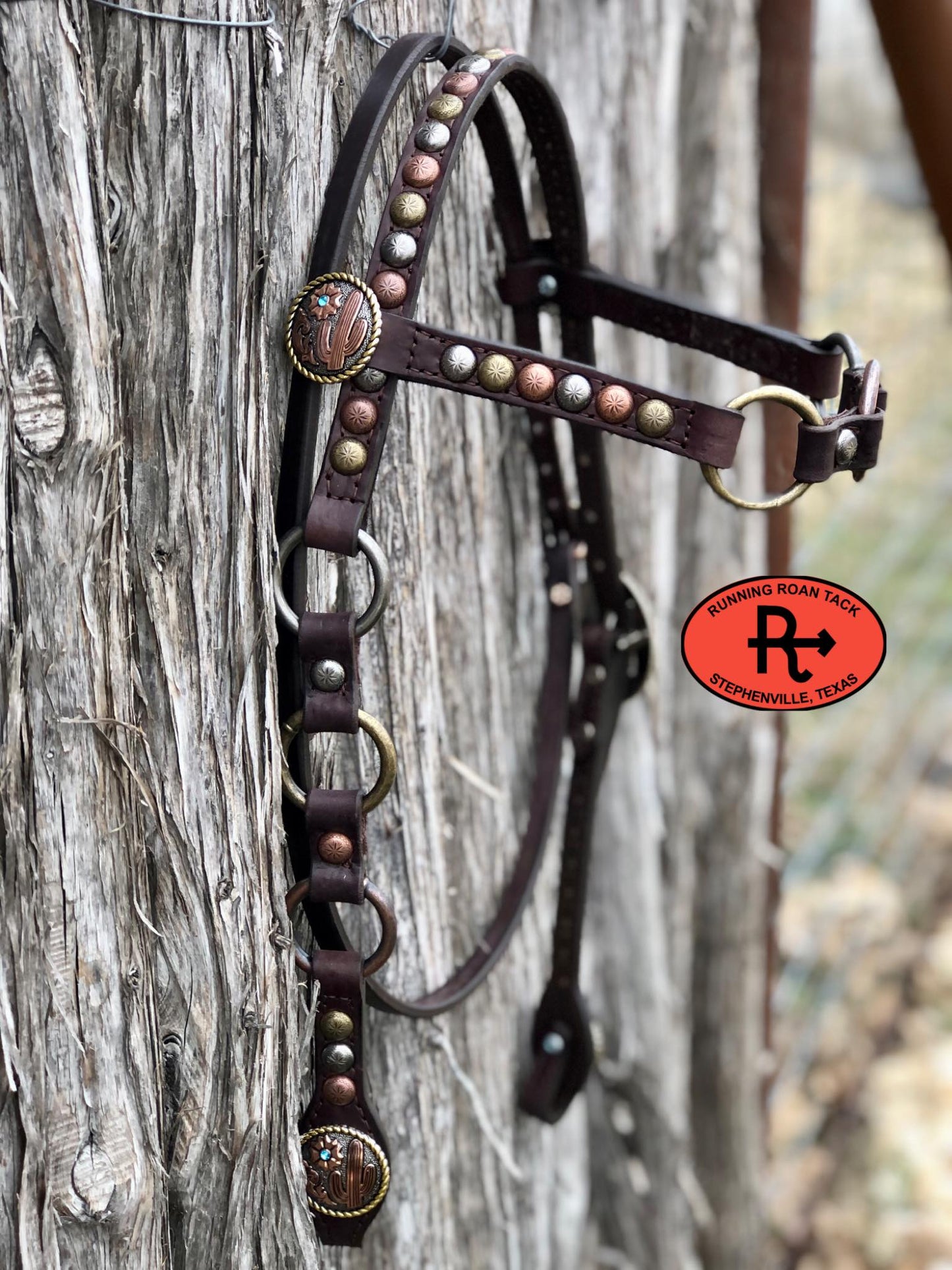 Browband Ring Headstall with Multicolor Dots and Tricolor Desert Hardware 36"-40"