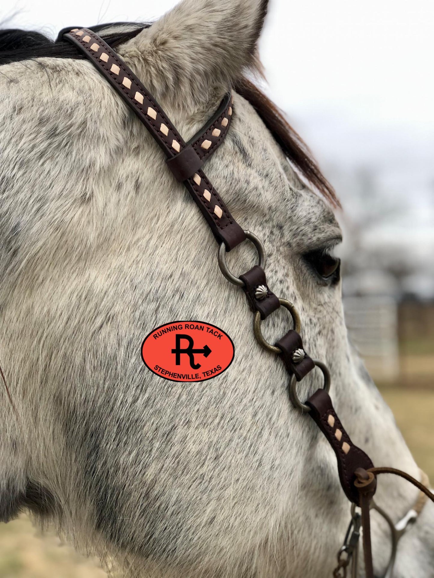 Single Ear Ring Headstall with White Buckstitch and German Silver Buckle 38"-42"