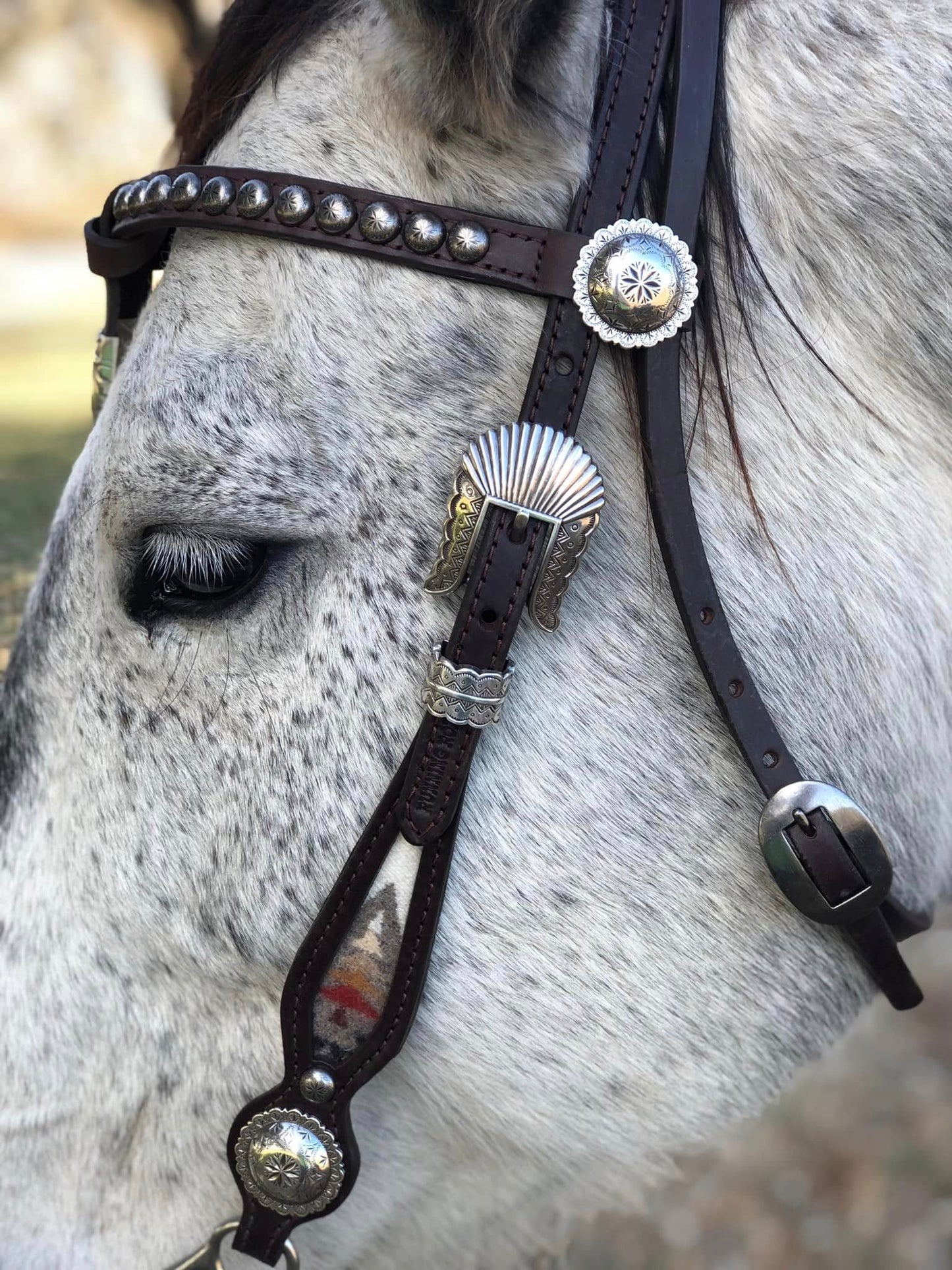 Futurity Knot Browband Headstall with Pacific Crest Wool 36"-43"