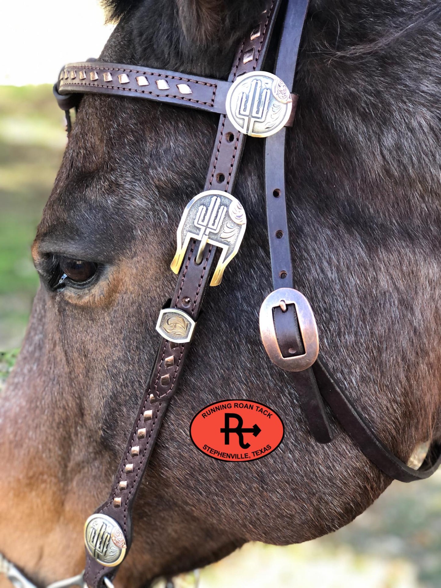 Futurity Knot Browband Headstall with Metallic Bronze Buckstitch and German Silver Cactus Hardware 36"-43"