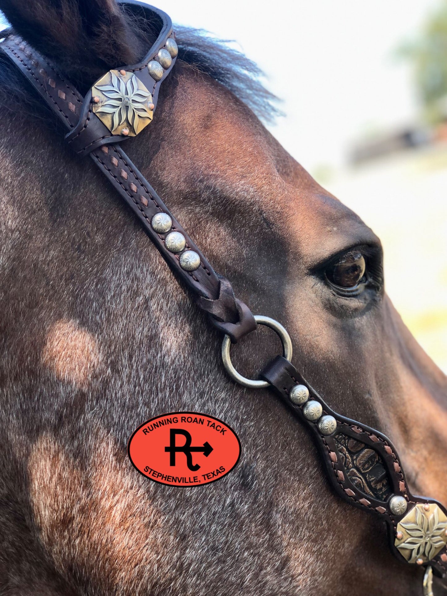 Inlaid Dark Brown Croc Headstall with Brown Buckstitch and German Silver Hardware 37"-41" Headstall09012025-06