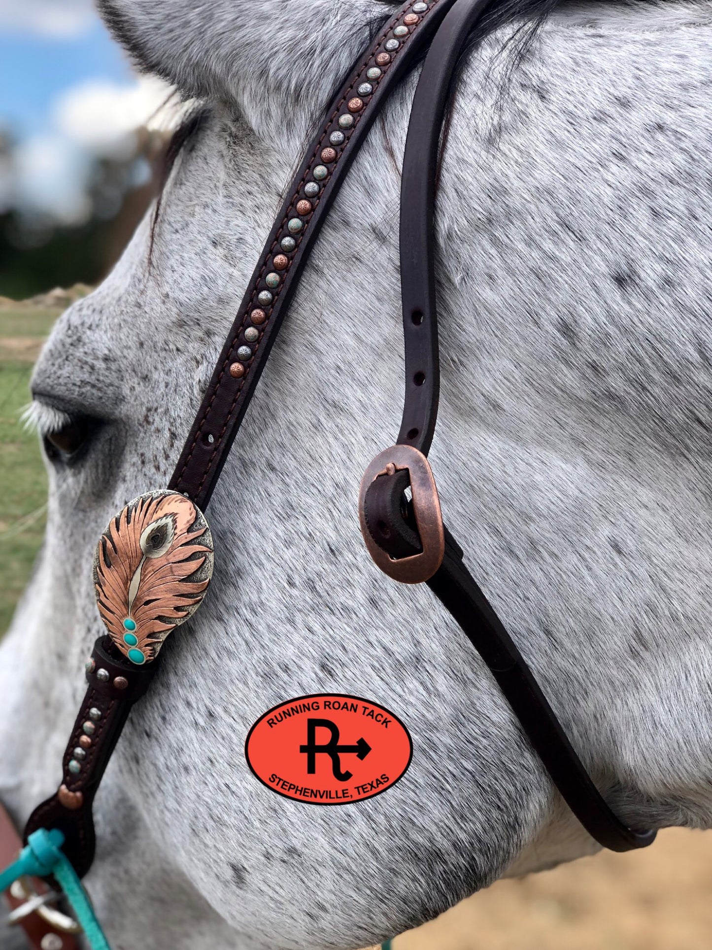 Single Ear Headstall with Throatlatch and Peacock Feather Buckle 39"-43" Headstall10062025-07