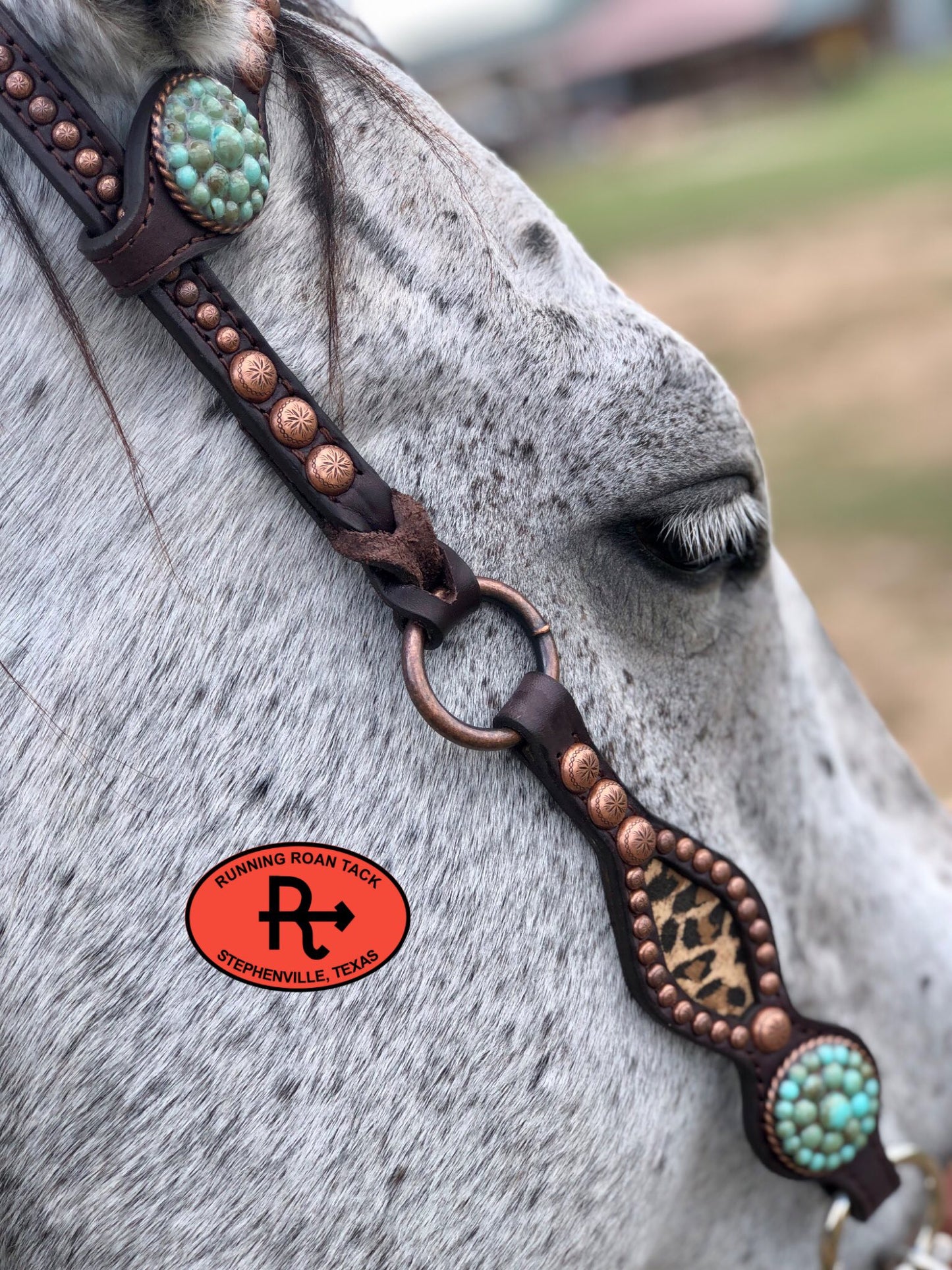 Inlaid Leopard Headstall with Turquoise Stone Hardware 36"-40" Headstall10062025-11
