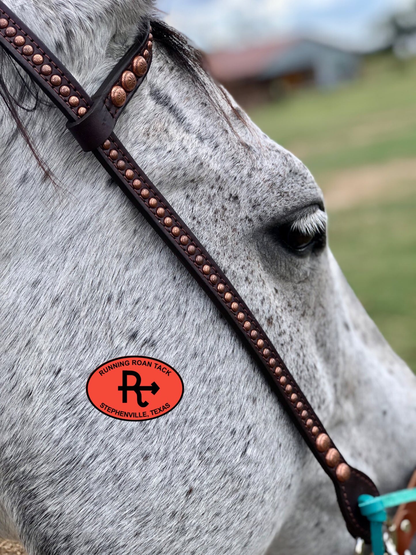 Single Ear Headstall with Copper Dots and Peacock Feather Buckle 37"-41" Headstall10062025-08