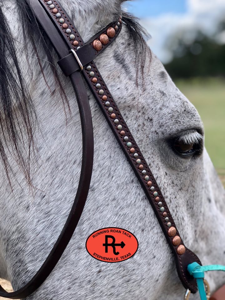 Single Ear Headstall with Throatlatch and Peacock Feather Buckle 39"-43" Headstall10062025-07