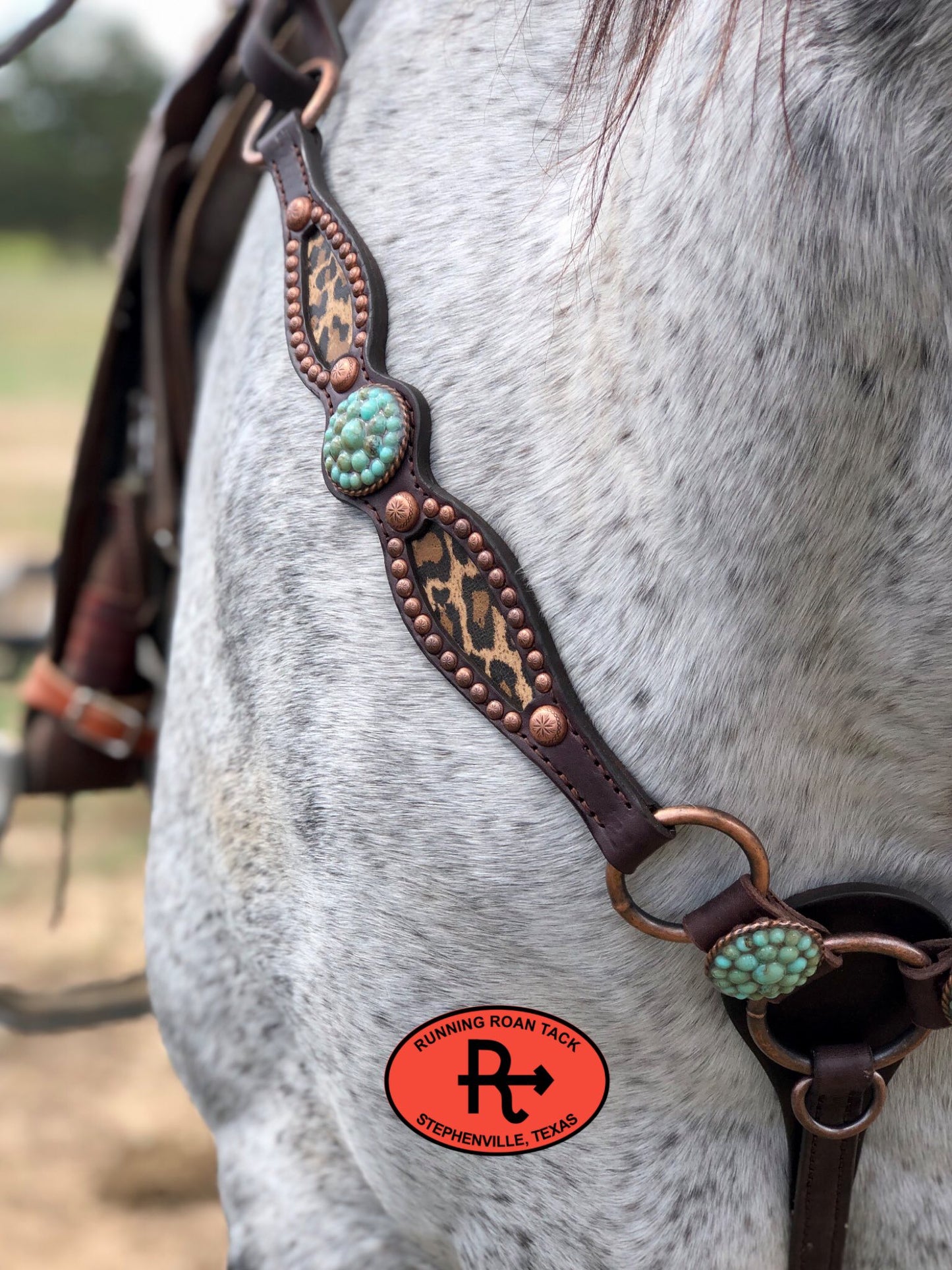 Ring Breast Collar with Inlaid Leopard and Turquoise Stone Hardware Breastcollar10062025-06