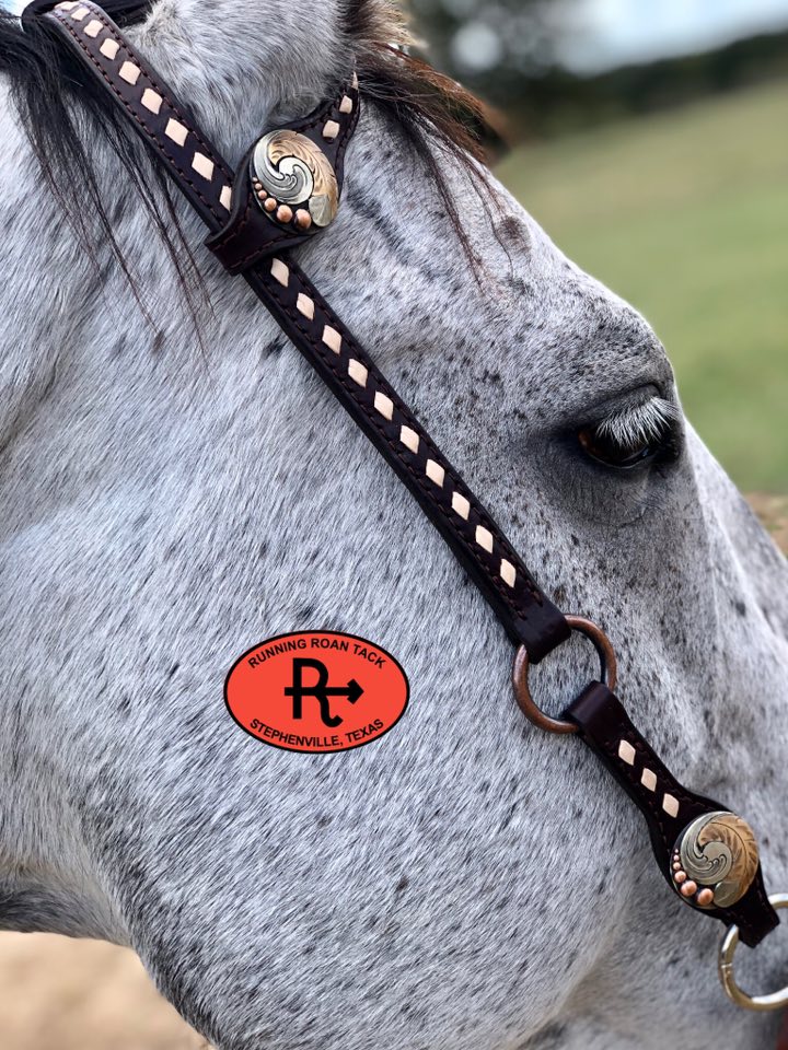 White Buckstitch Single Ear Headstall with German Silver Hardware 37"-41" Headstall10062025-02