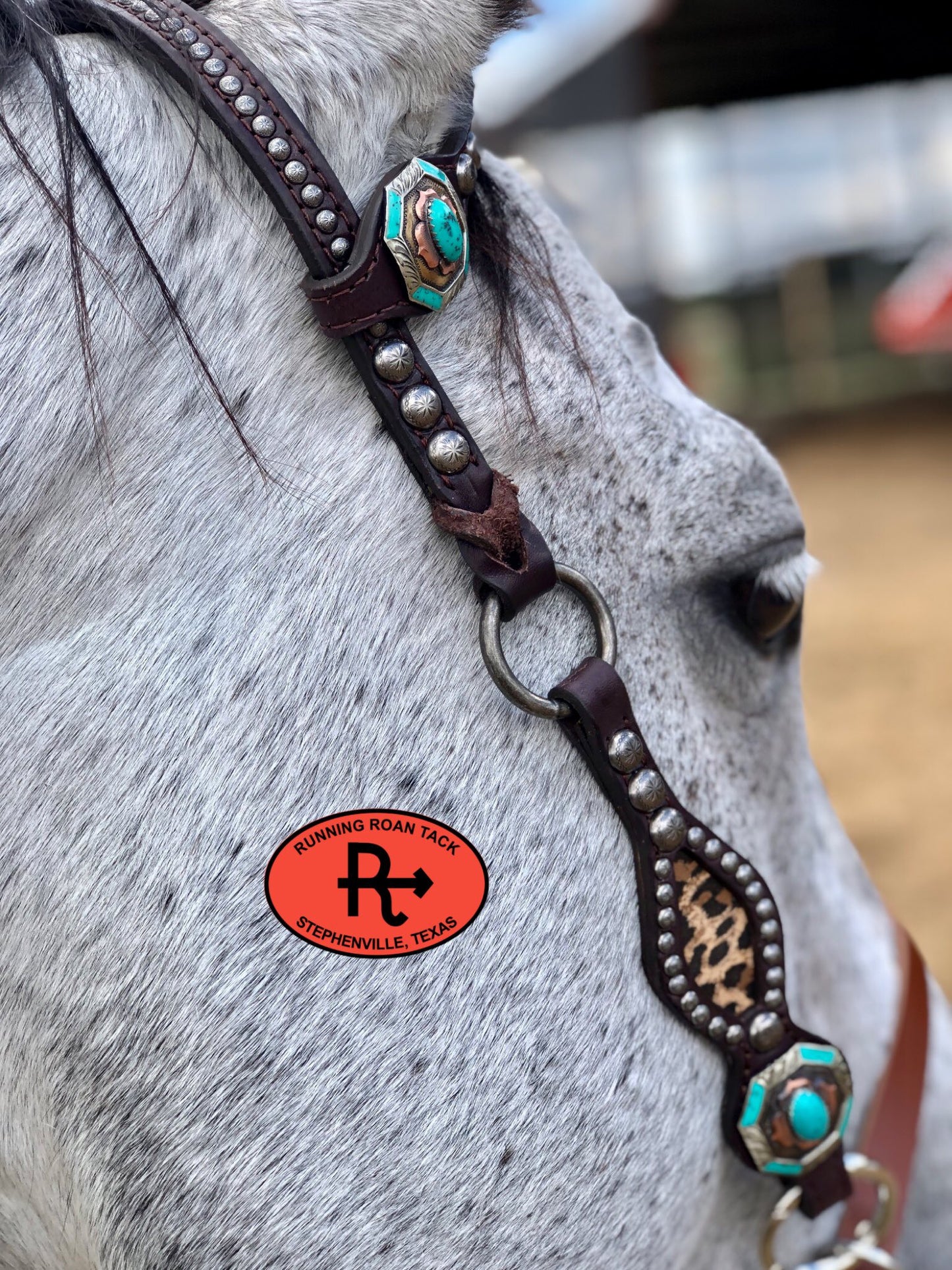 Inlaid Leopard Headstall with German Silver Hardware 34"-38" Headstall10062025-10