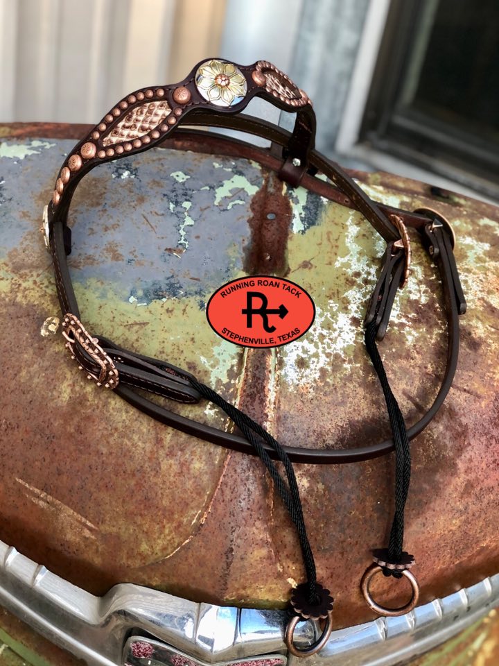 Metallic Bronze Snake Inlaid Browband Draw Gag Bit Headstall with Floral Hardware HeadstallDG11032025-02