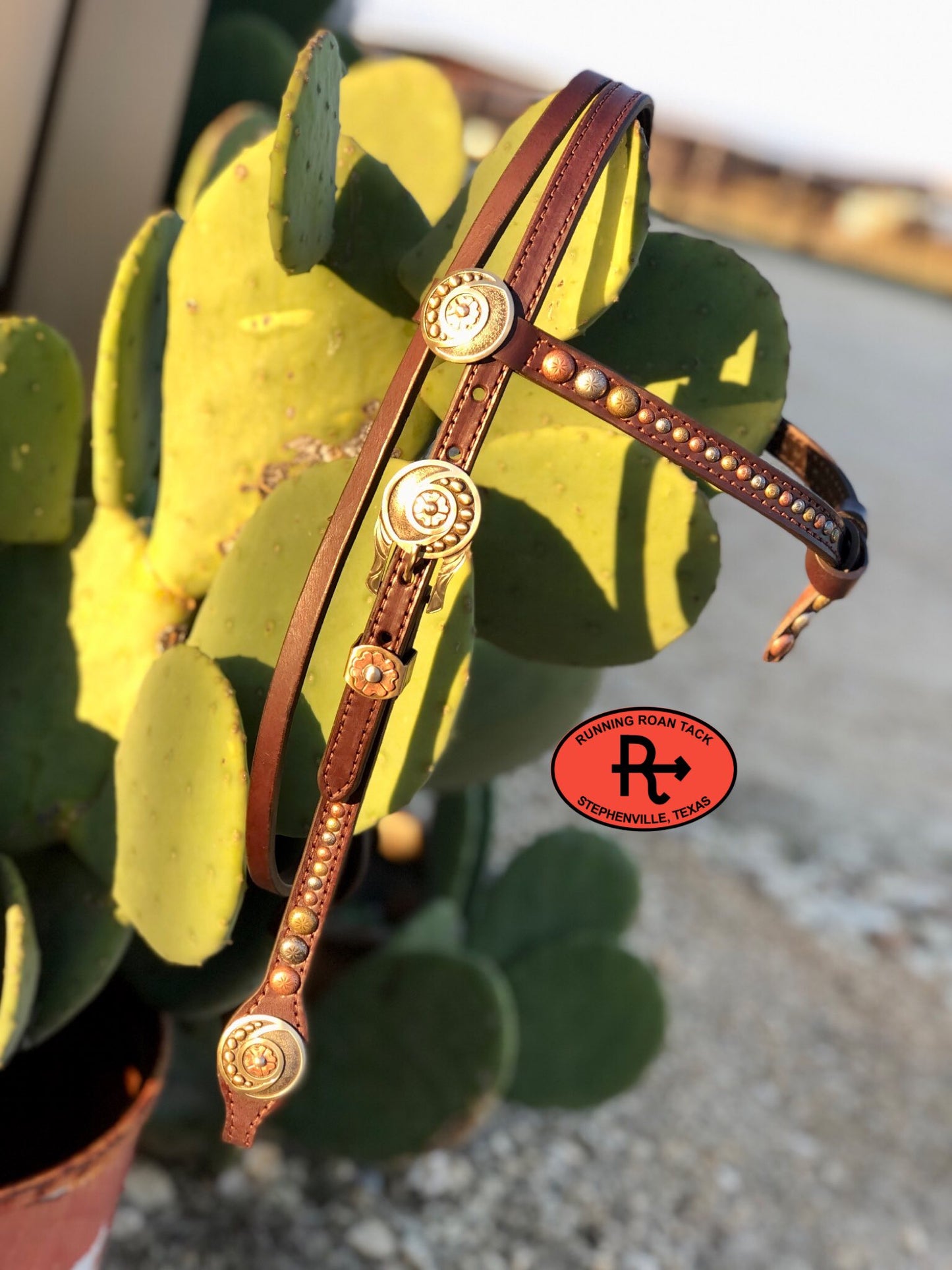 Futurity Knot Browband Headstall with Multicolor Dots and German Silver Flowers 36"-43" Headstall12012025-02