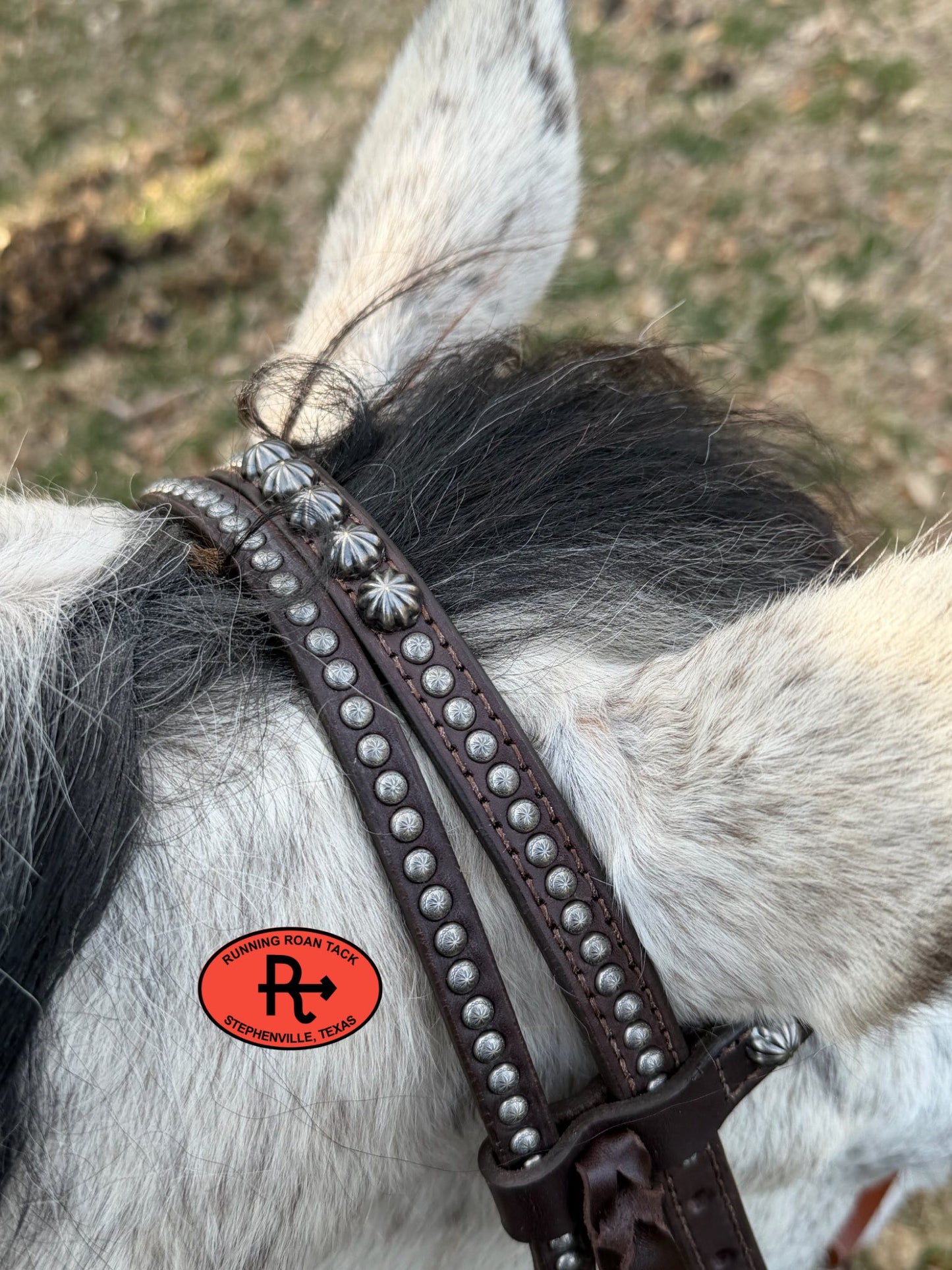 Dotted Tack Set with Vintage Thrifted Nickel Thunderbirds *Buy one piece or both pieces* Set03022026-06