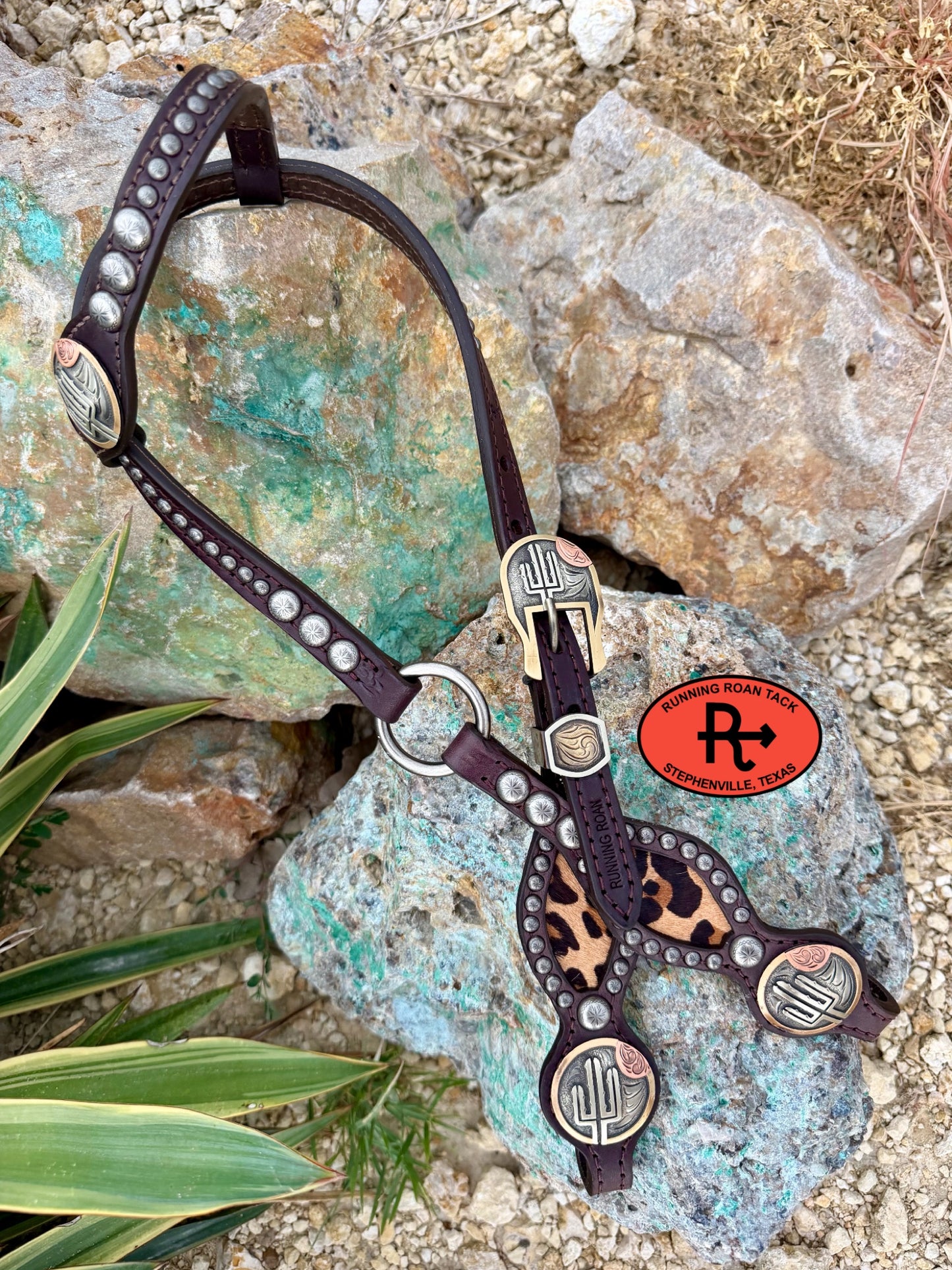 Single Ear Ring Headstall with Leopard Hair On Cowhide Inlay and Cactus Hardware 35"-39" Headstall07062026-08