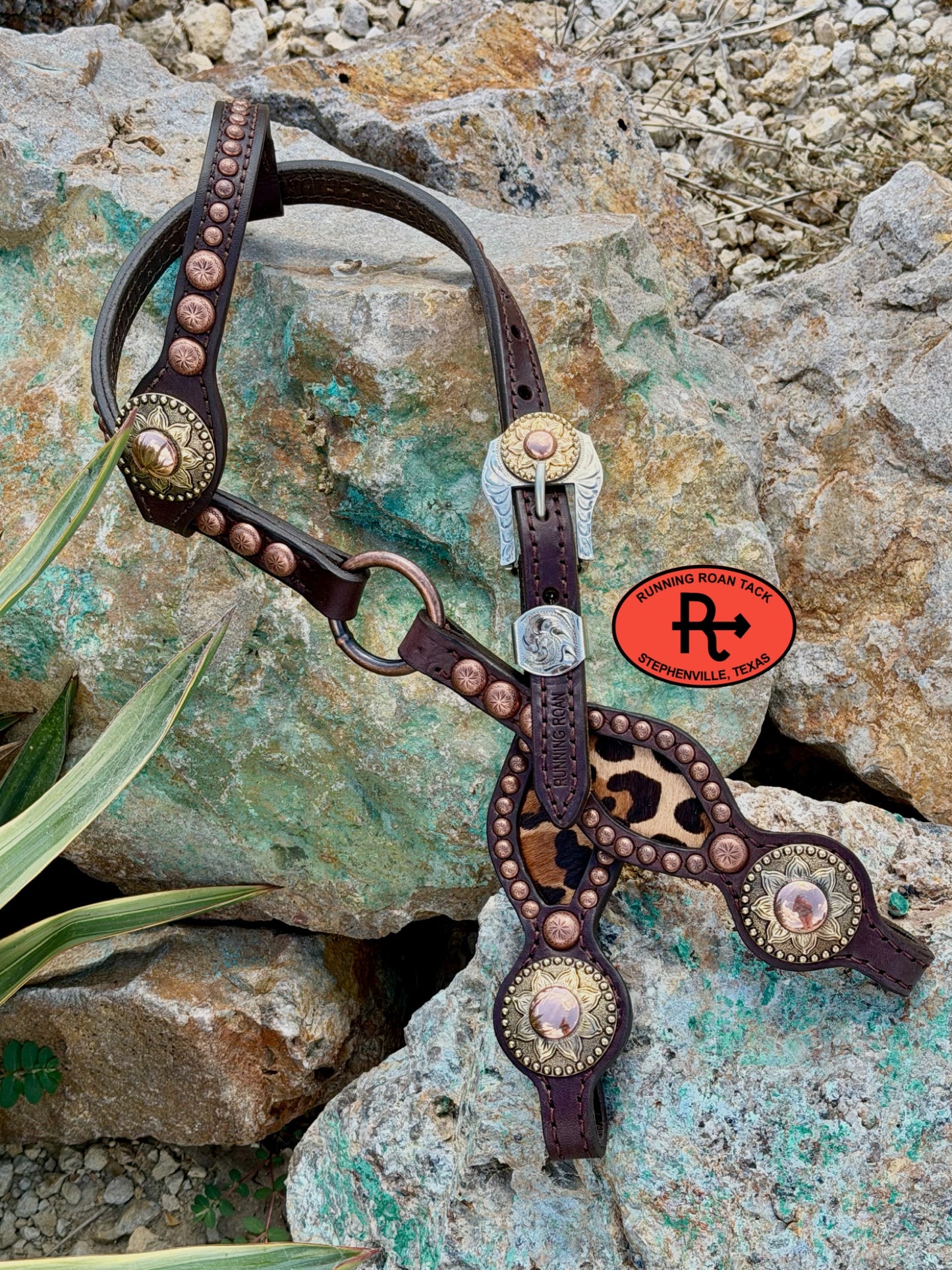 Single Ear Ring Headstall with Leopard Hair On Cowhide Inlay and Sunflower Hardware 31"-35" Headstall07062026-09